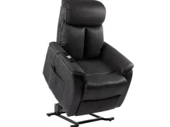 Stenis liftchair
