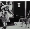 Tavla WINDOWSHOPPING m cheeta 150x100