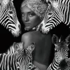 Tavla Zebra Queen, glas, 120x120 K