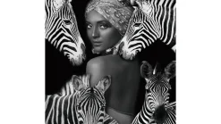 Tavla Zebra Queen, glas, 120x120 K